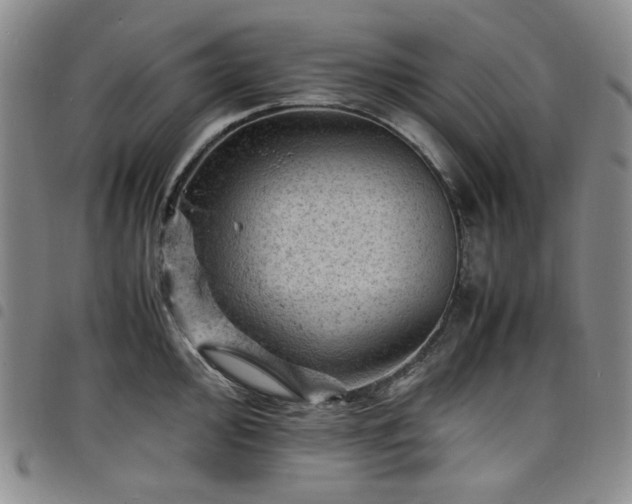 X0000098161000200804241759