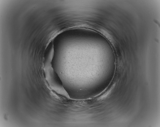 X0000098161001200804241759