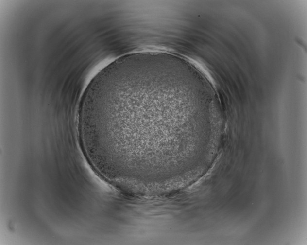X0000098161003200804241759