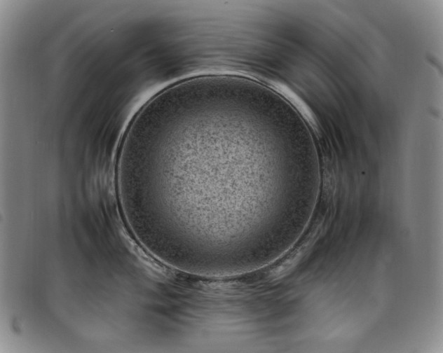 X0000098161004200804241759