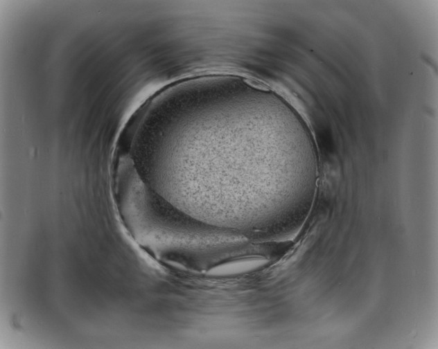 X0000098161005200804241759