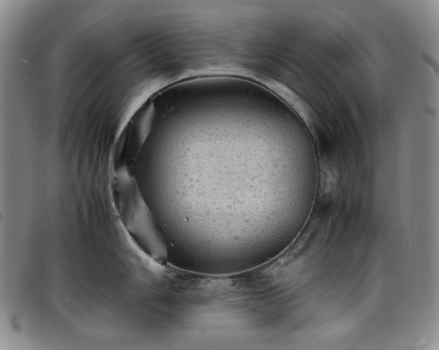 X0000098161006200804241759