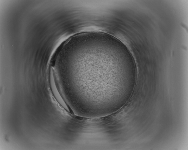 X0000098161008200804241759