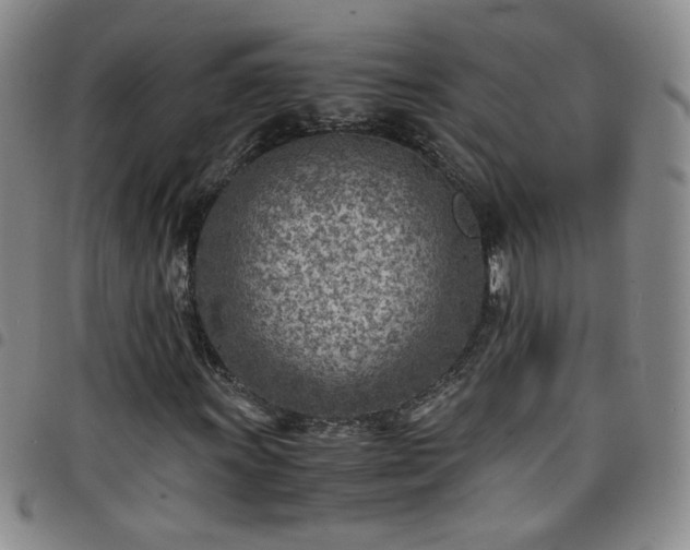 X0000098161011200804241758