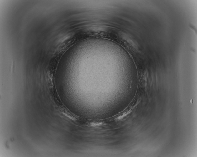 X0000098161013200804241758