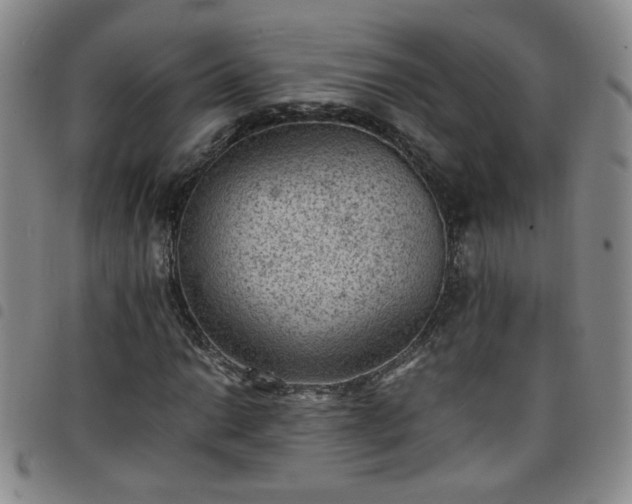 X0000098161014200804241758
