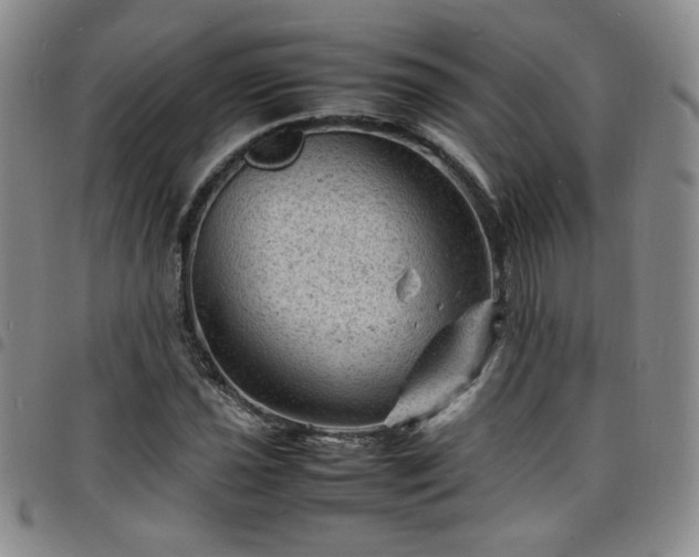 X0000098161021200804241758