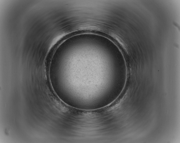 X0000098161022200804241758