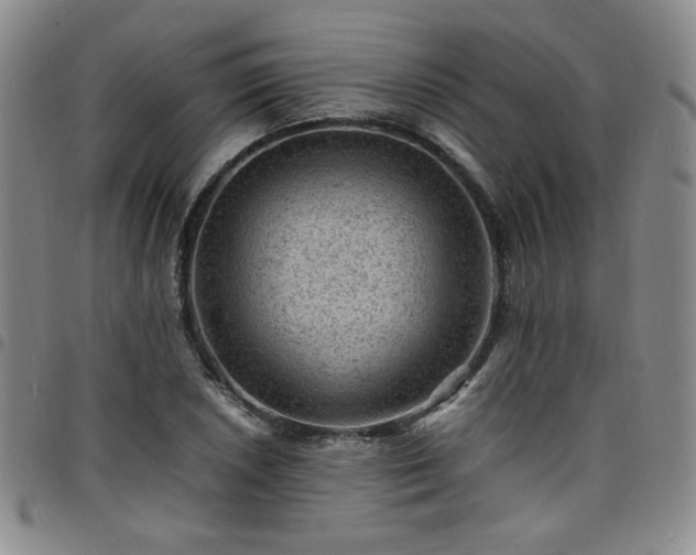 X0000098161026200804241758