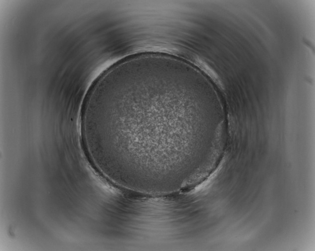 X0000098161028200804241758