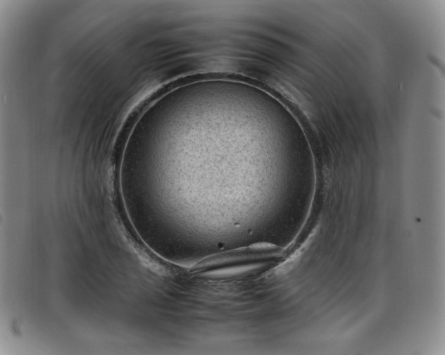 X0000098161029200804241758