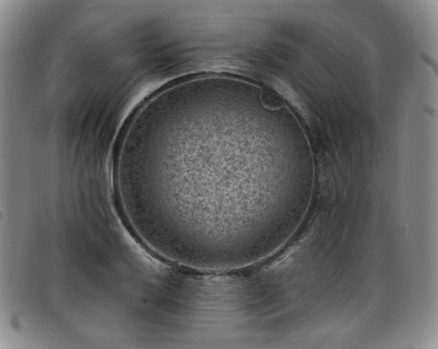 X0000098161032200804241758
