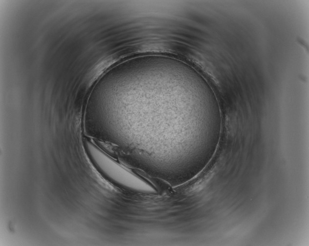 X0000098161033200804241758