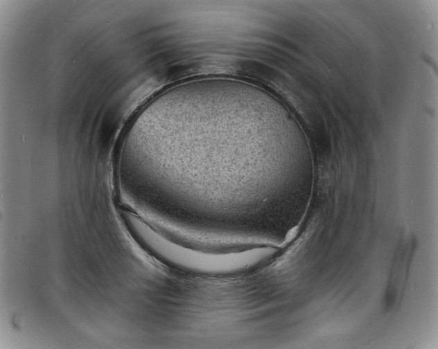 X0000098161034200804241759