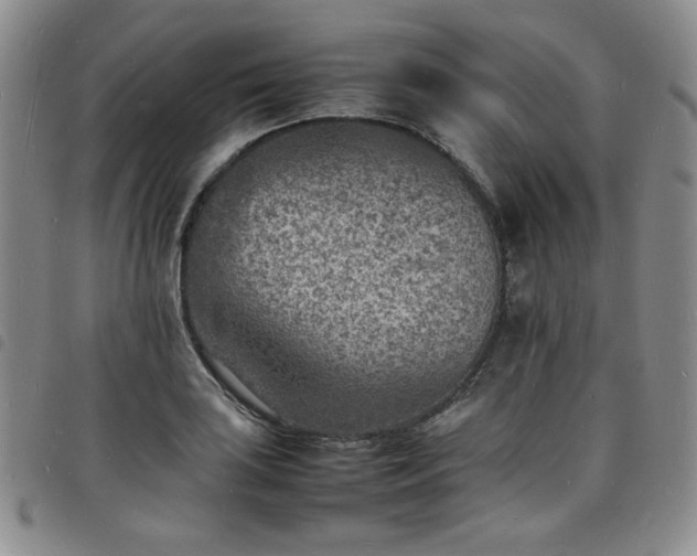 X0000098161035200804241759