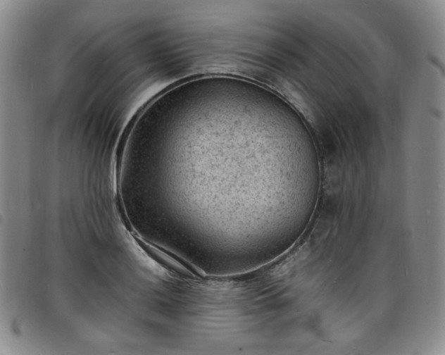 X0000098161036200804241759