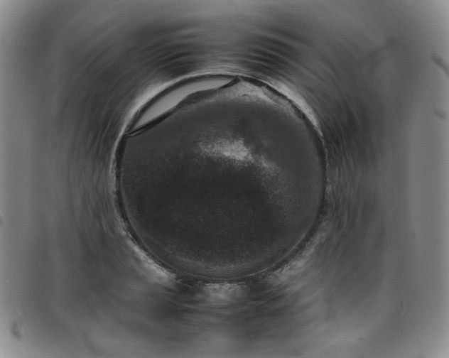 X0000098161037200804241759