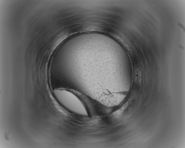 X0000098161039200804241759