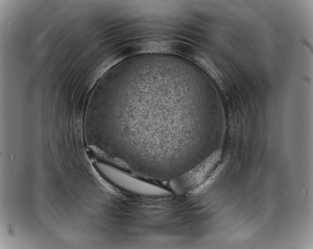 X0000098161041200804241759