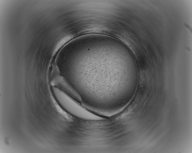 X0000098161042200804241759