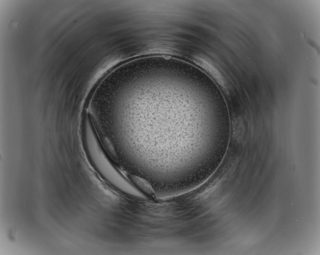 X0000098161043200804241759