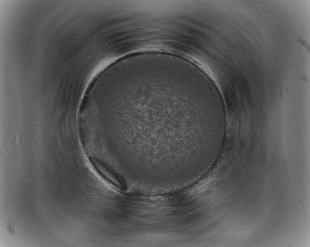 X0000098161045200804241759