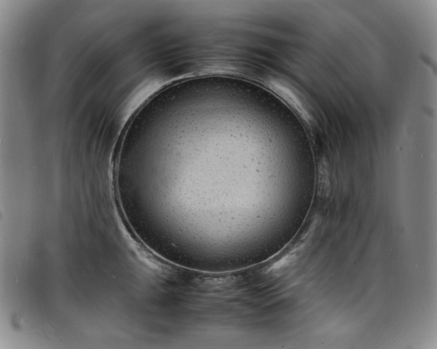 X0000098161047200804241759
