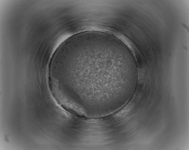 X0000098161048200804241759