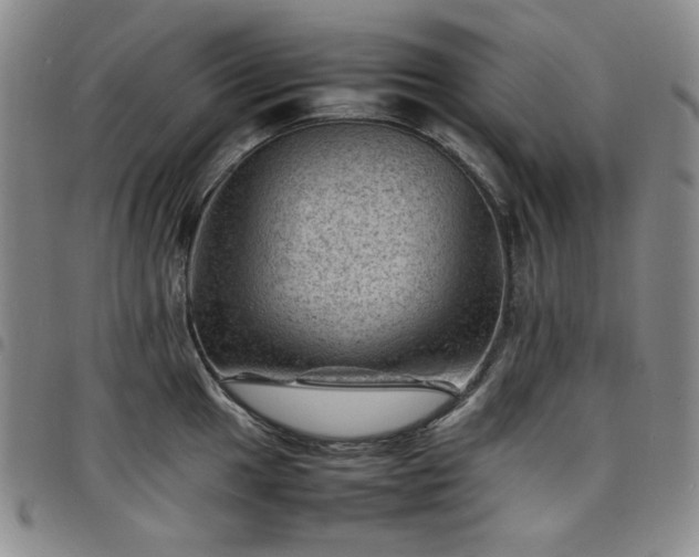 X0000098161049200804241759