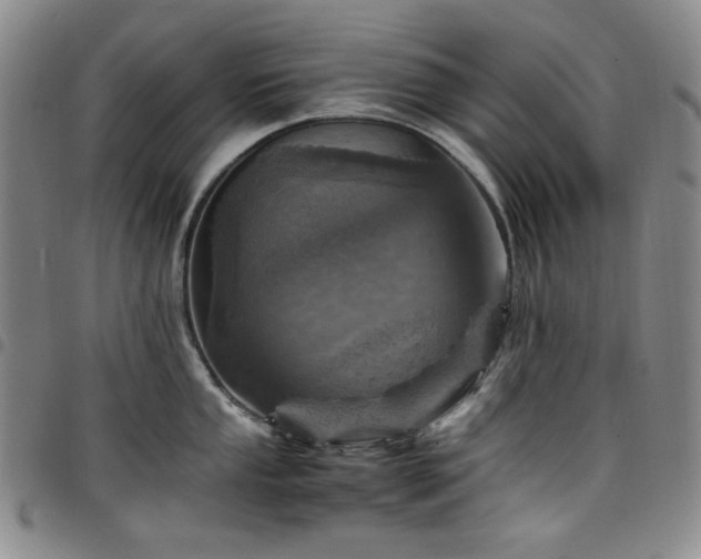 X0000098161053200804241759