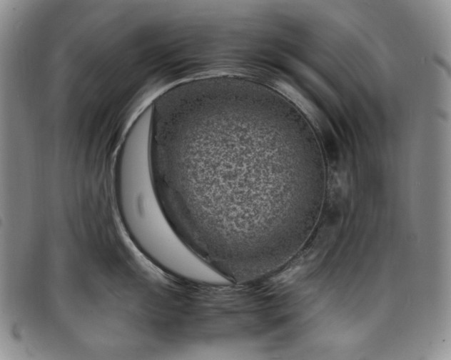 X0000098161055200804241759