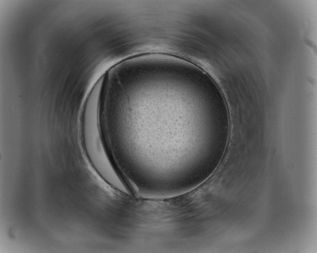 X0000098161056200804241759