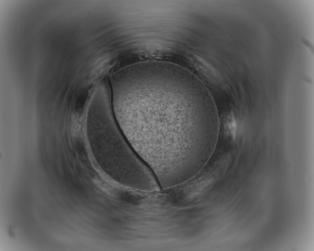 X0000098161060200804241758