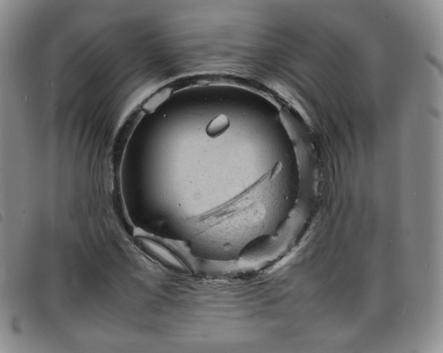 X0000098161069200804241758
