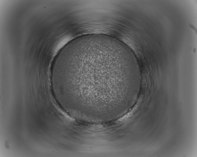X0000098161071200804241758
