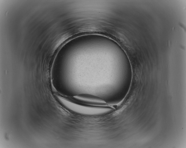 X0000098161073200804241758