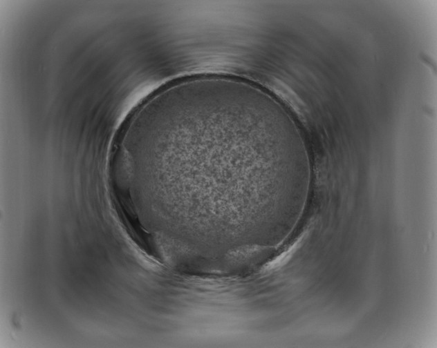 X0000098161077200804241758