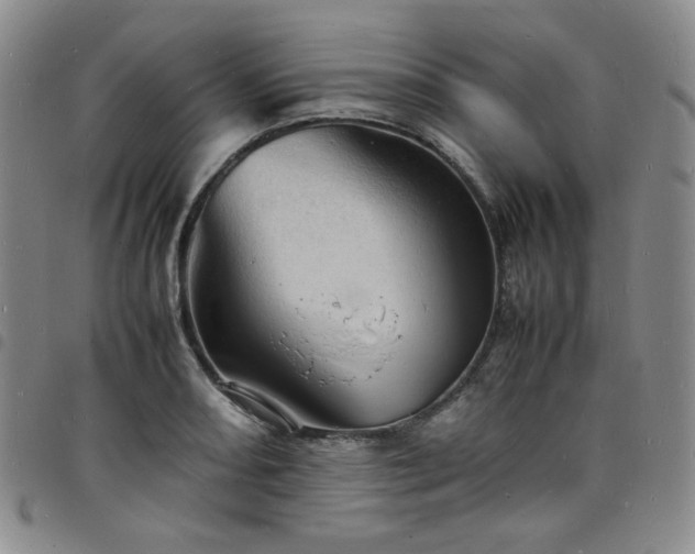 X0000098161082200804241758