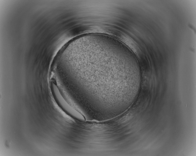 X0000098161084200804241758