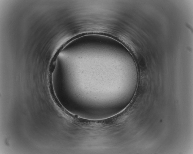 X0000098161085200804241758