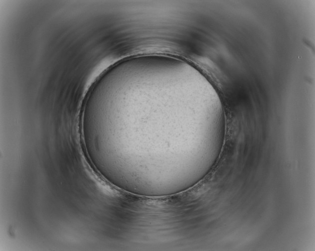 X0000098161086200804241758