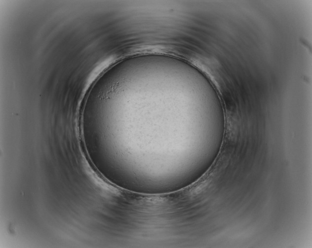 X0000098161090200804241758