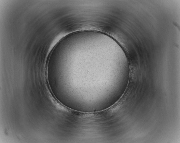 X0000098161094200804241758