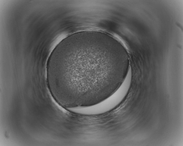 X0000098161095200804241758