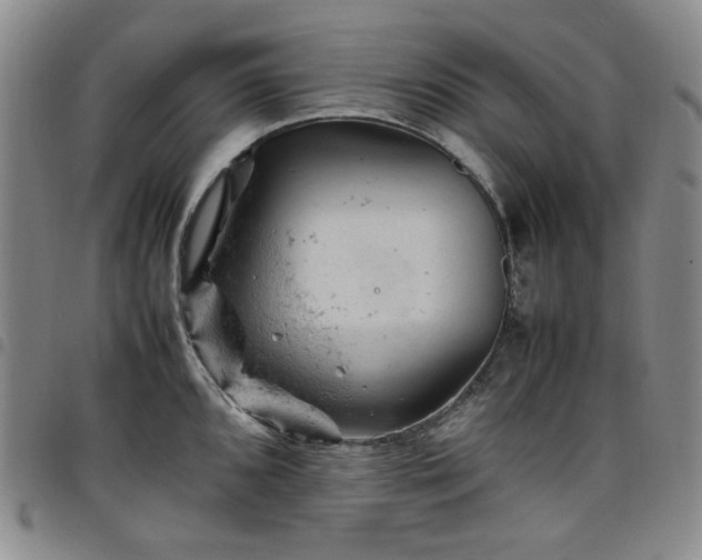 X0000098161096200804241758