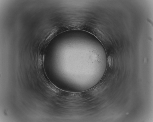 X0000098161107200804241757
