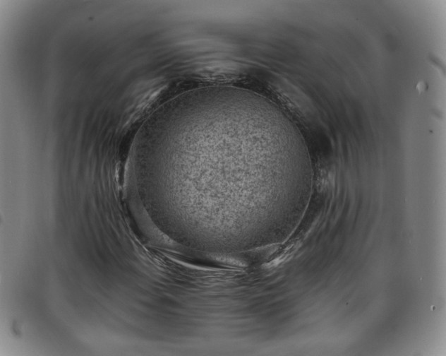 X0000098161108200804241757