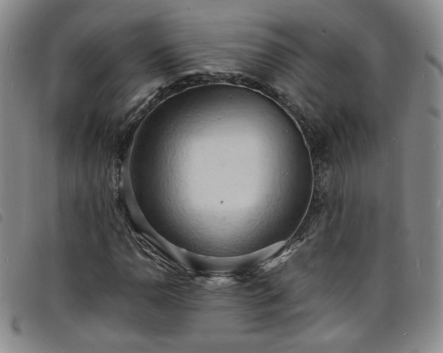 X0000098161110200804241757
