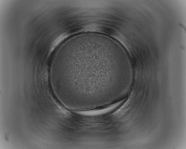X0000098161115200804241757