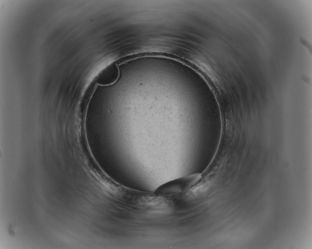 X0000098161119200804241757